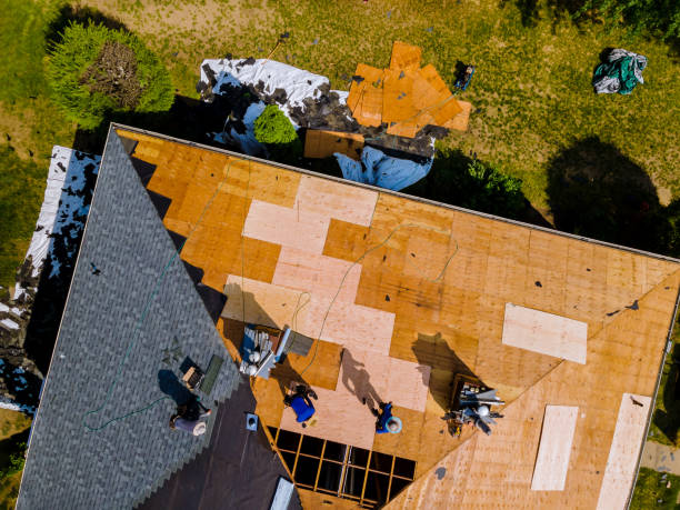 Best Emergency Roof Repair  in Mason Neck, VA