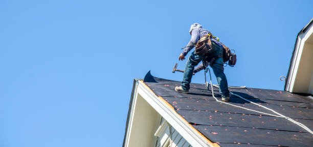 Best Shingle Roofing Installation  in Mason Neck, VA